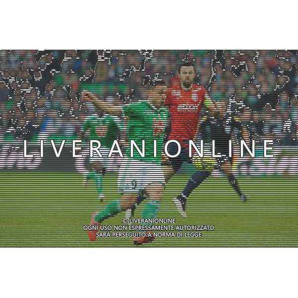 Mevlut ERDING - 22.03.2015 - Saint Etienne / Lille - 30eme journee de Ligue 1 Photo : Jean Paul Thomas / Icon Sport AG ALDO LIVERANI SAS ONLY ITALY