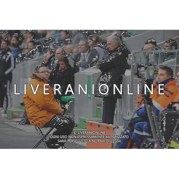Rene GIRARD - 22.03.2015 - Saint Etienne / Lille - 30eme journee de Ligue 1 Photo : Jean Paul Thomas / Icon Sport AG ALDO LIVERANI SAS ONLY ITALY
