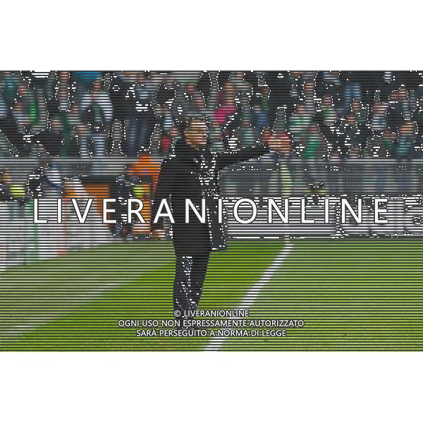 Christophe GALTIER - 22.03.2015 - Saint Etienne / Lille - 30eme journee de Ligue 1 Photo : Jean Paul Thomas / Icon Sport AG ALDO LIVERANI SAS ONLY ITALY