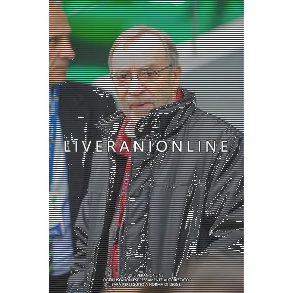 Michel SEYDOUX - 22.03.2015 - Saint Etienne / Lille - 30eme journee de Ligue 1 Photo : Jean Paul Thomas / Icon Sport AG ALDO LIVERANI SAS ONLY ITALY