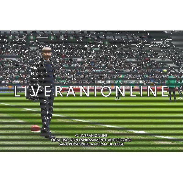 Rene GIRARD - 22.03.2015 - Saint Etienne / Lille - 30eme journee de Ligue 1 Photo : Jean Paul Thomas / Icon Sport AG ALDO LIVERANI SAS ONLY ITALY