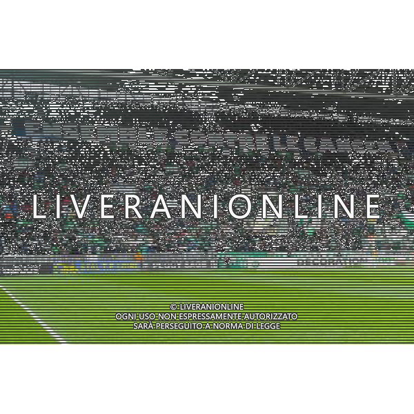 Supporters Saint Etienne - 22.03.2015 - Saint Etienne / Lille - 30eme journee de Ligue 1 Photo : Jean Paul Thomas / Icon Sport AG ALDO LIVERANI SAS ONLY ITALY