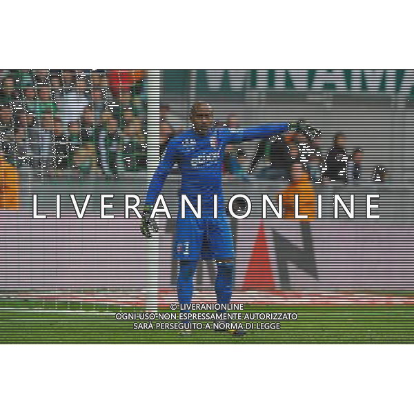 Vincent ENYEAMA - 22.03.2015 - Saint Etienne / Lille - 30eme journee de Ligue 1 Photo : Jean Paul Thomas / Icon Sport AG ALDO LIVERANI SAS ONLY ITALY
