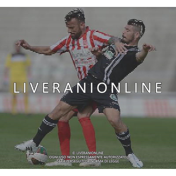 Campionato di Calcio Lega Pro Girone B 2014/2015 32 Giornata Forli\' - 29.03.2015 Forli\'-Ascoli Picchio Nella Foto:docente gualdi /Ph.Vitez-Ag. Aldo Liverani