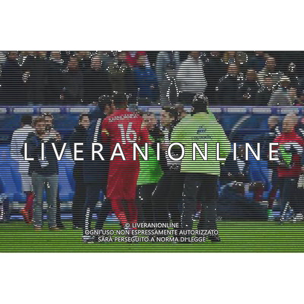 Steve MANDANDA / intrus sur le terrain - 26.03.2015 - France / Bresil - Match Amical Photo : Dave Winter / Icon Sport AG ALDO LIVERANI SAS ONLY ITALY