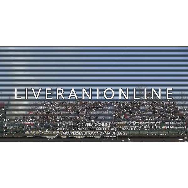 Campionato di Calcio Lega Pro Girone B 2014/2015 32 Giornata Forli\' - 29.03.2015 Forli\'-Ascoli Picchio Nella Foto:Tifosi Ascoli /Ph.Vitez-Ag. Aldo Liverani