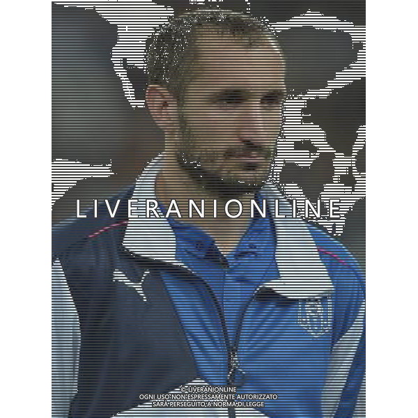 Amichevole Torino - 31.03.2015 Italia-Inghilterra Nella Foto:Chiellini Giorgio /Ph.Vitez-Ag. Aldo Liverani