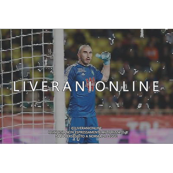 Stephane Ruffier - 03.04.2015 - Monaco / Saint Etienne - 31e journee Ligue 1 Photo : Sebastien Nogier / Icon Sport AG ALDO LIVERANI SAS ONLY ITALY
