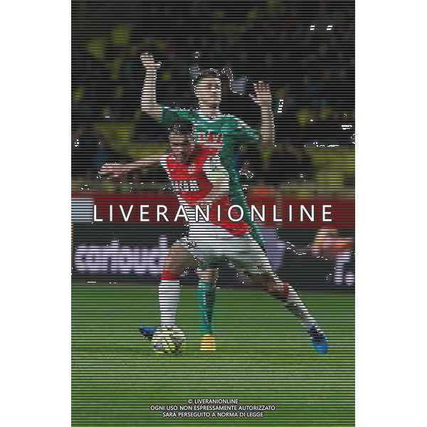 Jeremy Toulalan / Ricky Van Wolfswinkel - 03.04.2015 - Monaco / Saint Etienne - 31e journee Ligue 1 Photo : Sebastien Nogier / Icon Sport AG ALDO LIVERANI SAS ONLY ITALY