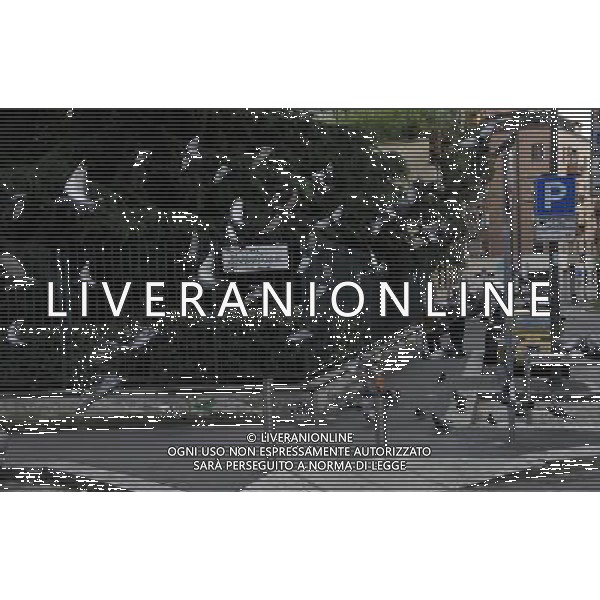 Milano Situazioni Milano - 03.04.2015 Nella Foto:Piccioni /Ph.Vitez-Ag. Aldo Liverani