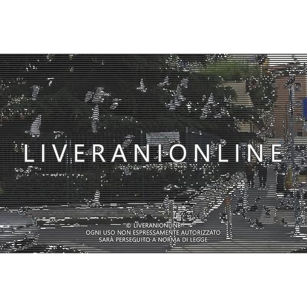 Milano Situazioni Milano - 03.04.2015 Nella Foto:Piccioni /Ph.Vitez-Ag. Aldo Liverani