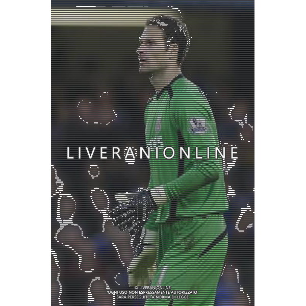 Stoke City\'s Asmir Begovic during today\'s match Photographer Craig Mercer/CameraSport Football - Barclays Premiership - Chelsea v Stoke City - Saturday 4th April 2015 - Stamford Bridge - London © CameraSport - 43 Linden Ave. Countesthorpe. Leicester. England. LE8 5PG - Tel: +44 (0) 116 277 4147 - admin@camerasport.com - www.camerasport.com AG ALDO LIVERANI SAS ONLY ITALY
