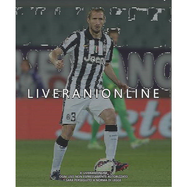 Coppa Italia TIM Cup 2014/2015 Semifinale Ritorno Firenze - 07.04.2015 Fiorentina-Juventus Nella Foto:Chiellini Giorgio /Ph.Vitez-Ag. Aldo Liverani