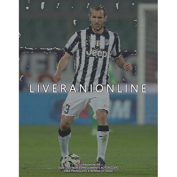 Coppa Italia TIM Cup 2014/2015 Semifinale Ritorno Firenze - 07.04.2015 Fiorentina-Juventus Nella Foto:Chiellini Giorgio /Ph.Vitez-Ag. Aldo Liverani