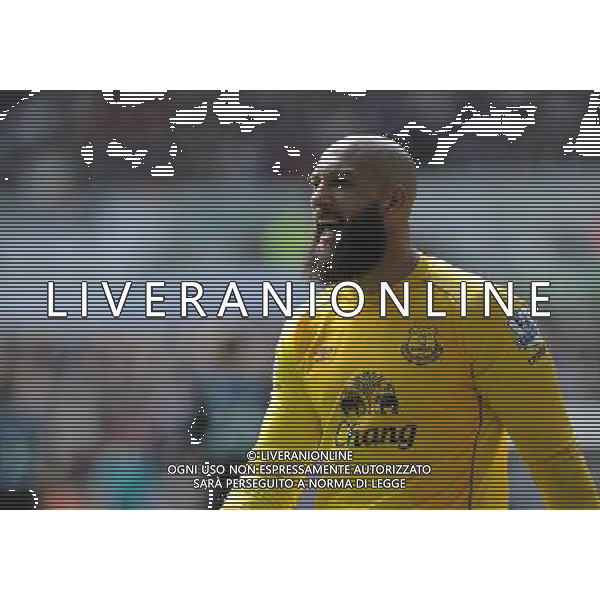 Everton\'s Tim Howard in action during todays match Photographer Ashley Crowden/CameraSport Football - Barclays Premiership - Swansea City v Everton - Saturday 11th April 2015 - Liberty Stadium - Swansea © CameraSport - 43 Linden Ave. Countesthorpe. Leicester. England. LE8 5PG - Tel: +44 (0) 116 277 4147 - admin@camerasport.com - www.camerasport.com AG ALDO LIVERANI SAS ONLY ITALY
