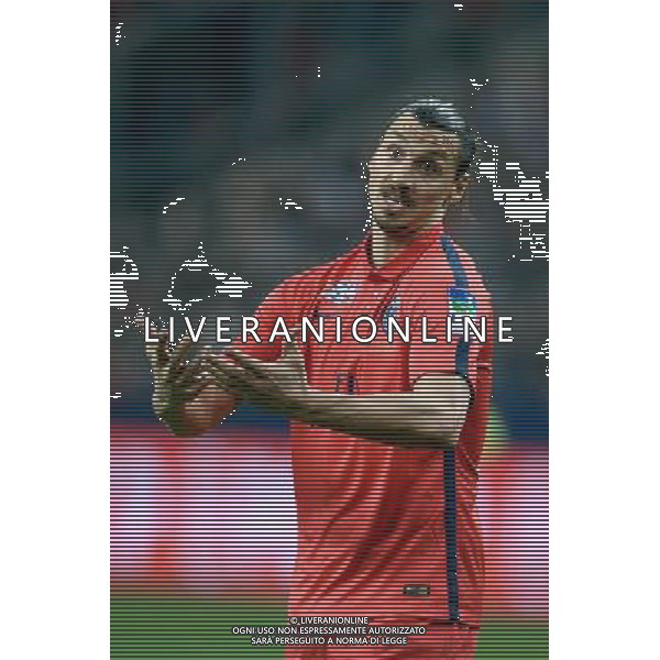 ZLATAN IBRAHIMOVIC - 11.04.2015 - Bastia / PSG - Finale de la Coupe de la Ligue 2015 Photo : Visual / Icon Sport