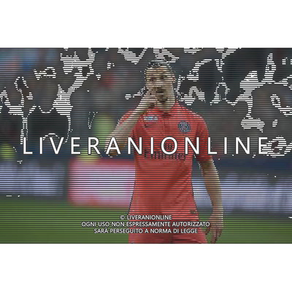 ZLATAN IBRAHIMOVIC - 11.04.2015 - Bastia / PSG - Finale de la Coupe de la Ligue 2015 Photo : Visual / Icon Sport