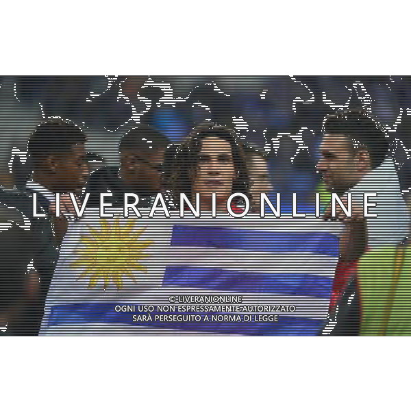 Victoire du PSG / Edinson CAVANI - 11.04.2015 - Bastia / PSG - Finale de la Coupe de la Ligue 2015 Photo : Dave Winter / Icon Sport