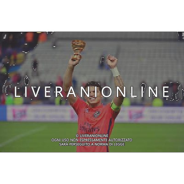 Victoire du PSG / Thiago SILVA - 11.04.2015 - Bastia / PSG - Finale de la Coupe de la Ligue 2015 Photo : Dave Winter / Icon Sport