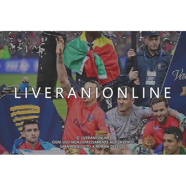 Victoire du PSG / Zlatan IBRAHIMOVIC - 11.04.2015 - Bastia / PSG - Finale de la Coupe de la Ligue 2015 Photo : Dave Winter / Icon Sport