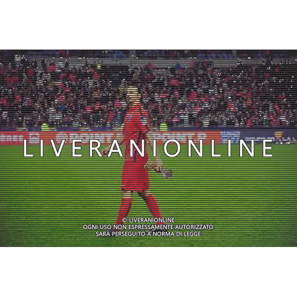 Victoire PSG / Zlatan IBRAHIMOVIC - 11.04.2015 - Bastia / PSG - Finale de la Coupe de la Ligue 2015 Photo : Dave Winter / Icon Sport