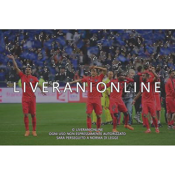 Victoire du PSG - 11.04.2015 - Bastia / PSG - Finale de la Coupe de la Ligue 2015 Photo : Dave Winter / Icon Sport