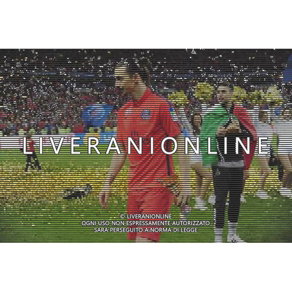 Victoire du PSG / Zlatan IBRAHIMOVIC - 11.04.2015 - Bastia / PSG - Finale de la Coupe de la Ligue 2015 Photo : Dave Winter / Icon Sport