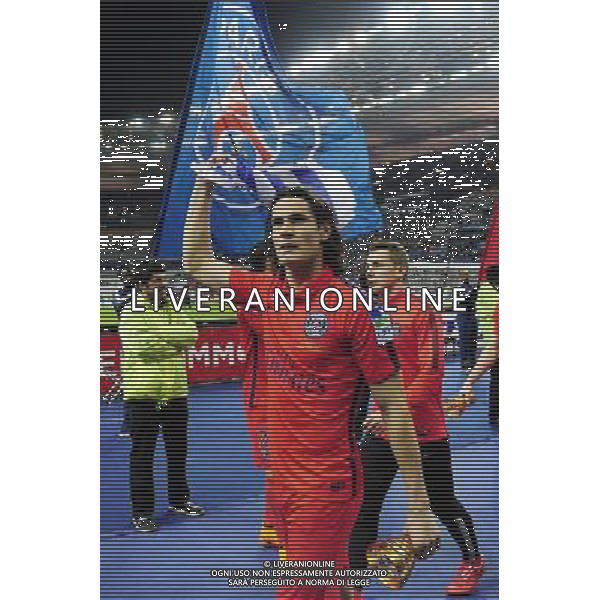 Victoire du PSG / Edinson CAVANI - 11.04.2015 - Bastia / PSG - Finale de la Coupe de la Ligue 2015 Photo : Dave Winter / Icon Sport