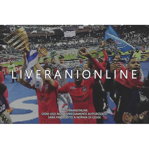 Victoire du PSG / Edinson CAVANI / Blaise MATUIDI - 11.04.2015 - Bastia / PSG - Finale de la Coupe de la Ligue 2015 Photo : Dave Winter / Icon Sport