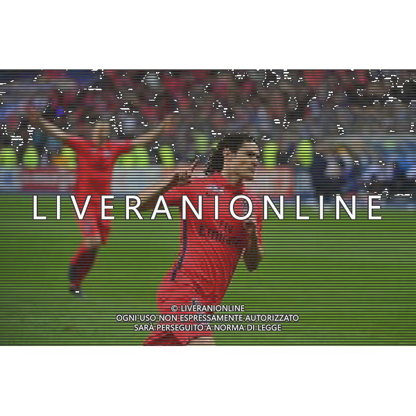 Joie Edinson CAVANI - 11.04.2015 - Bastia / PSG - Finale de la Coupe de la Ligue 2015 Photo : Dave Winter / Icon Sport