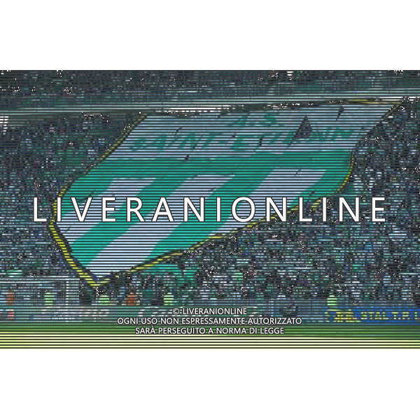 Supporters Saint Etienne - 12.04.2015 - Saint Etienne / Nantes - 32eme journee de Ligue 1 Photo : Jean Paul Thomas / Icon Sport AG ALDO LIVERANI SAS ONLY ITALY