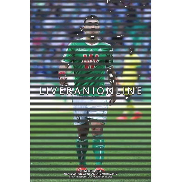 Mevlut ERDING - 12.04.2015 - Saint Etienne / Nantes - 32eme journee de Ligue 1 Photo : Jean Paul Thomas / Icon Sport AG ALDO LIVERANI SAS ONLY ITALY