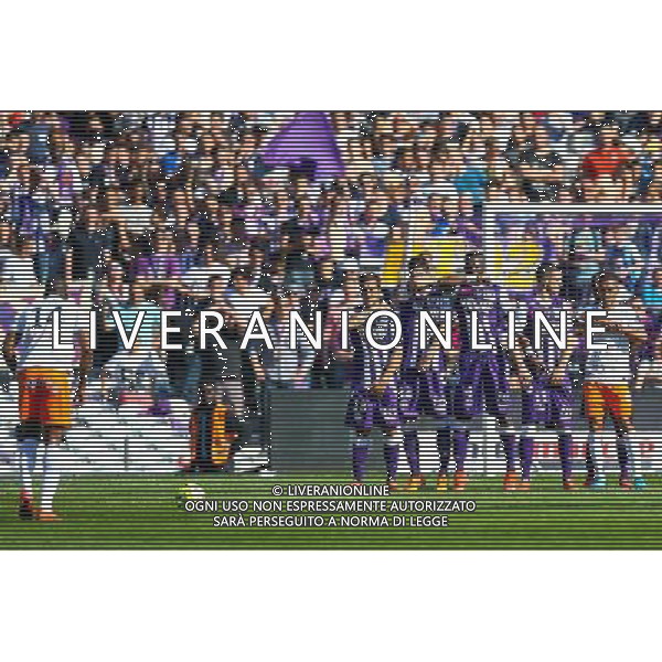 Mur Toulouse - 12.04.2015 - Toulouse / Montpellier - 32eme journee de Ligue 1 Photo : Manuel Blondeau / Icon Sport AG ALDO LIVERANI SAS ONLY ITALY