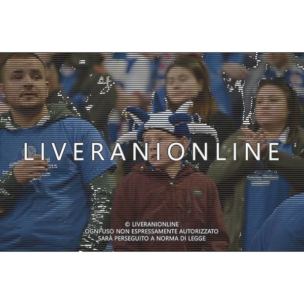 A young Reading fan looks dejected at the end of the game Photographer Ian Cook/CameraSport Football - The FA Cup Semi-Final - Reading v Arsenal - Saturday 18th April 2015 - Wembley - London © CameraSport - 43 Linden Ave. Countesthorpe. Leicester. England. LE8 5PG - Tel: +44 (0) 116 277 4147 - admin@camerasport.com - www.camerasport.com AG ALDO LIVERANI SAS ONLY ITALY