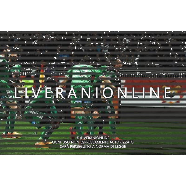 Joie Romain HAMOUNA - 19.04.2015 - Lyon / Saint Etienne - 33eme journee de Ligue 1 Photo : Jean Paul Thomas / Icon Sport AG ALDO LIVERANI SAS ONLY ITALY