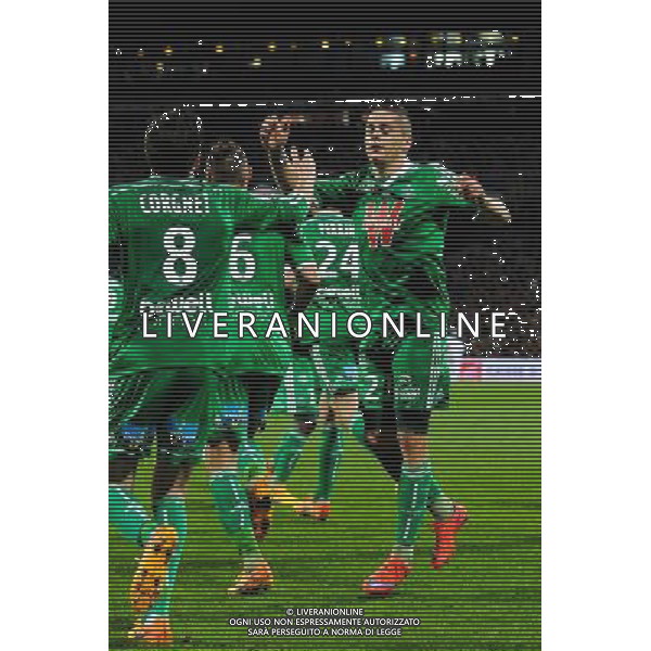 Joie Romain HAMOUNA - 19.04.2015 - Lyon / Saint Etienne - 33eme journee de Ligue 1 Photo : Jean Paul Thomas / Icon Sport AG ALDO LIVERANI SAS ONLY ITALY