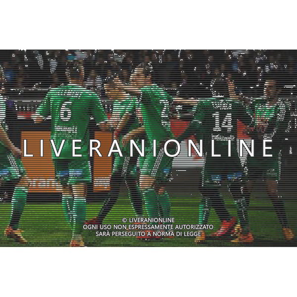 Joie Saint Etienne - Romain HAMOUNA / Francois CLERC - 19.04.2015 - Lyon / Saint Etienne - 33eme journee de Ligue 1 Photo : Jean Paul Thomas / Icon Sport AG ALDO LIVERANI SAS ONLY ITALY