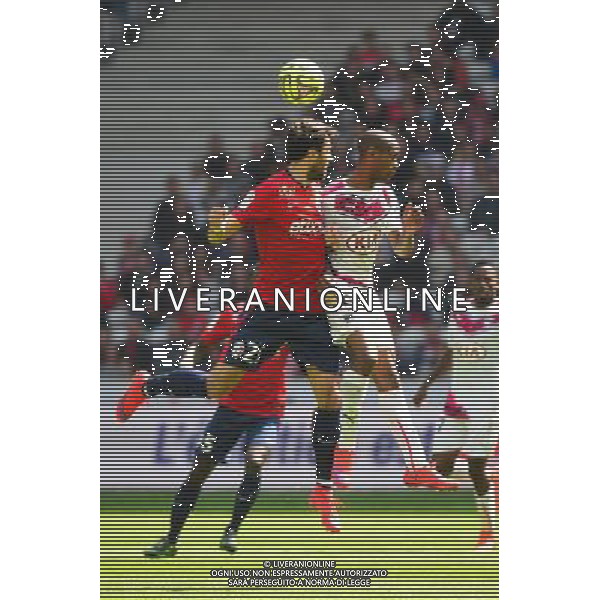 Marko BASA / Diego ROLAN - 19.04.2015 - Lille / Bordeaux - 33eme journee de Ligue 1 Photo : Dave Winter / Icon Sport AG ALDO LIVERANI SAS ONLY ITALY