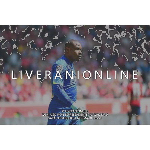 Vincent ENYEAMA - 19.04.2015 - Lille / Bordeaux - 33eme journee de Ligue 1 Photo : Dave Winter / Icon Sport AG ALDO LIVERANI SAS ONLY ITALY
