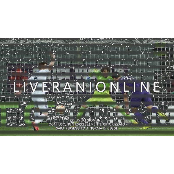 UEFA Europa League 2014/2015 Quarti di Finale Ritorno Firenze - 23.04.2015 Fiorentina-Dinamo Kiev Nella Foto: il gol di mario gomez del 1-0 /Ph.Vitez-Ag. Aldo Liverani