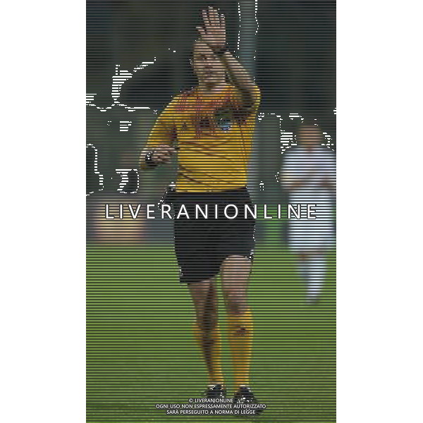 UEFA Europa League 2014/2015 Quarti di Finale Ritorno Firenze - 23.04.2015 Fiorentina-Dinamo Kiev Nella Foto: arbitro Eriksson Jonas /Ph.Vitez-Ag. Aldo Liverani