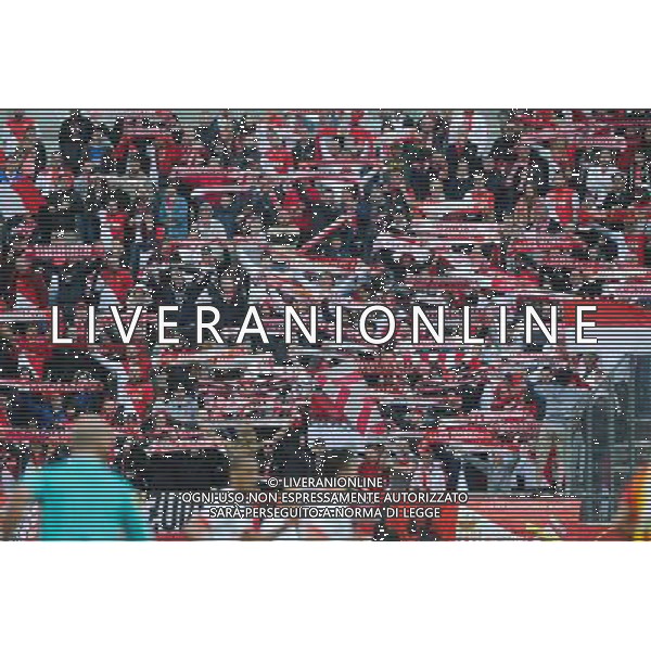 Supporters Monaco - 26.04.2015 - Lens / Monaco - 34eme journee de Ligue 1 Photo : Nolwenn Le Gouic / Icon Sport /Agenzia Aldo Liverani sas - ITALY ONLY - EDITORIAL USE ONLY