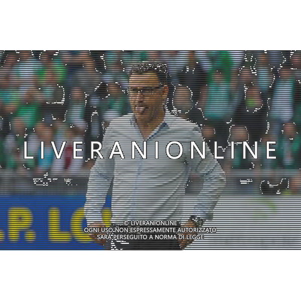 Christophe GALTIER - 26.04.2015 - Saint Etienne / Montpellier - 34eme journee de Ligue 1 Photo : Jean Paul Thomas / Icon Sport /Agenzia Aldo Liverani sas - ITALY ONLY - EDITORIAL USE ONLY