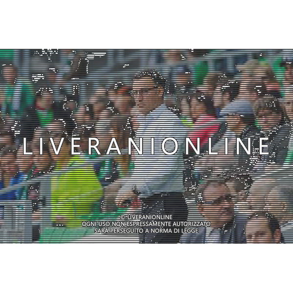 Christophe GALTIER - 26.04.2015 - Saint Etienne / Montpellier - 34eme journee de Ligue 1 Photo : Jean Paul Thomas / Icon Sport /Agenzia Aldo Liverani sas - ITALY ONLY - EDITORIAL USE ONLY