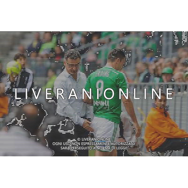 Christophe GALTIER / Mevlut ERDING - 26.04.2015 - Saint Etienne / Montpellier - 34eme journee de Ligue 1 Photo : Jean Paul Thomas / Icon Sport /Agenzia Aldo Liverani sas - ITALY ONLY - EDITORIAL USE ONLY