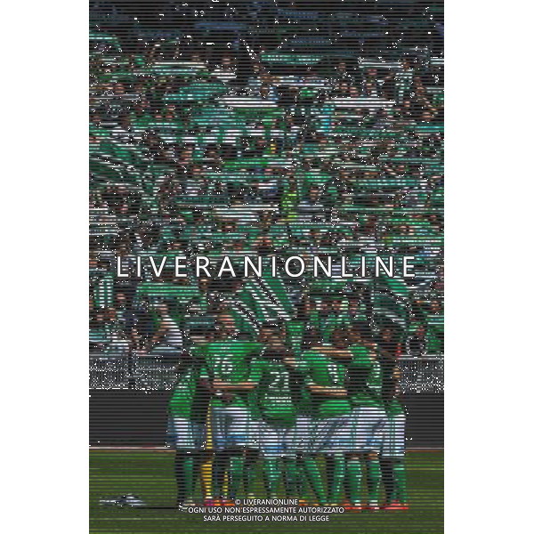 Equipe Saint Etienne / Ambiance - 26.04.2015 - Saint Etienne / Montpellier - 34eme journee de Ligue 1 Photo : Jean Paul Thomas / Icon Sport /Agenzia Aldo Liverani sas - ITALY ONLY - EDITORIAL USE ONLY