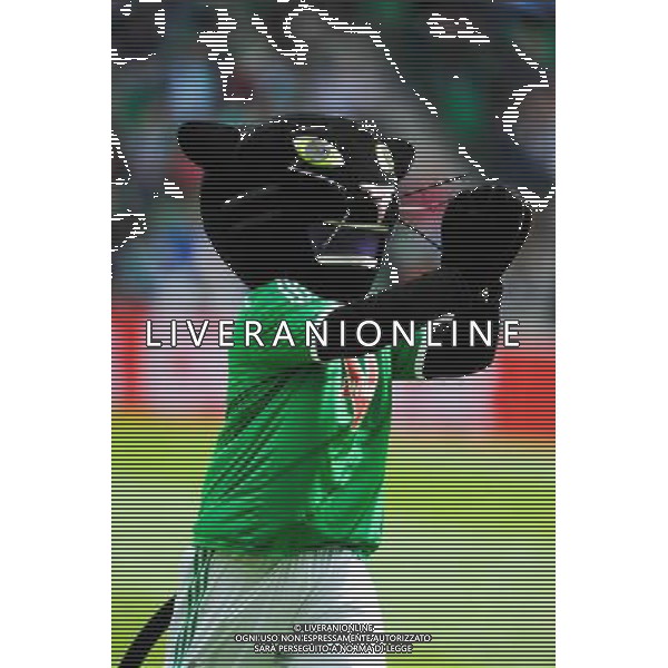 Illustration Mascotte - 26.04.2015 - Saint Etienne / Montpellier - 34eme journee de Ligue 1 Photo : Jean Paul Thomas / Icon Sport /Agenzia Aldo Liverani sas - ITALY ONLY - EDITORIAL USE ONLY
