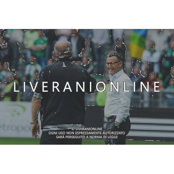 Rolland COURBIS / Christophe GALTIER - 26.04.2015 - Saint Etienne / Montpellier - 34eme journee de Ligue 1 Photo : Jean Paul Thomas / Icon Sport /Agenzia Aldo Liverani sas - ITALY ONLY - EDITORIAL USE ONLY
