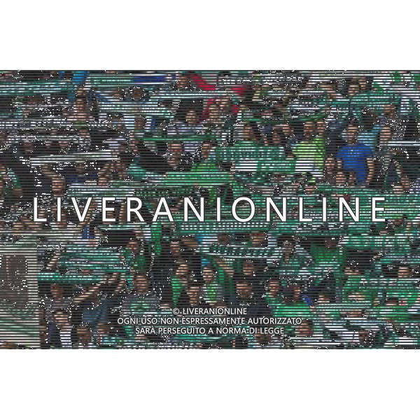 Supporters Saint Etienne - 26.04.2015 - Saint Etienne / Montpellier - 34eme journee de Ligue 1 Photo : Jean Paul Thomas / Icon Sport /Agenzia Aldo Liverani sas - ITALY ONLY - EDITORIAL USE ONLY