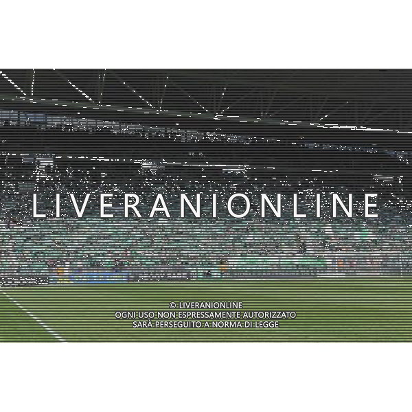 Supporters Saint Etienne - 26.04.2015 - Saint Etienne / Montpellier - 34eme journee de Ligue 1 Photo : Jean Paul Thomas / Icon Sport /Agenzia Aldo Liverani sas - ITALY ONLY - EDITORIAL USE ONLY